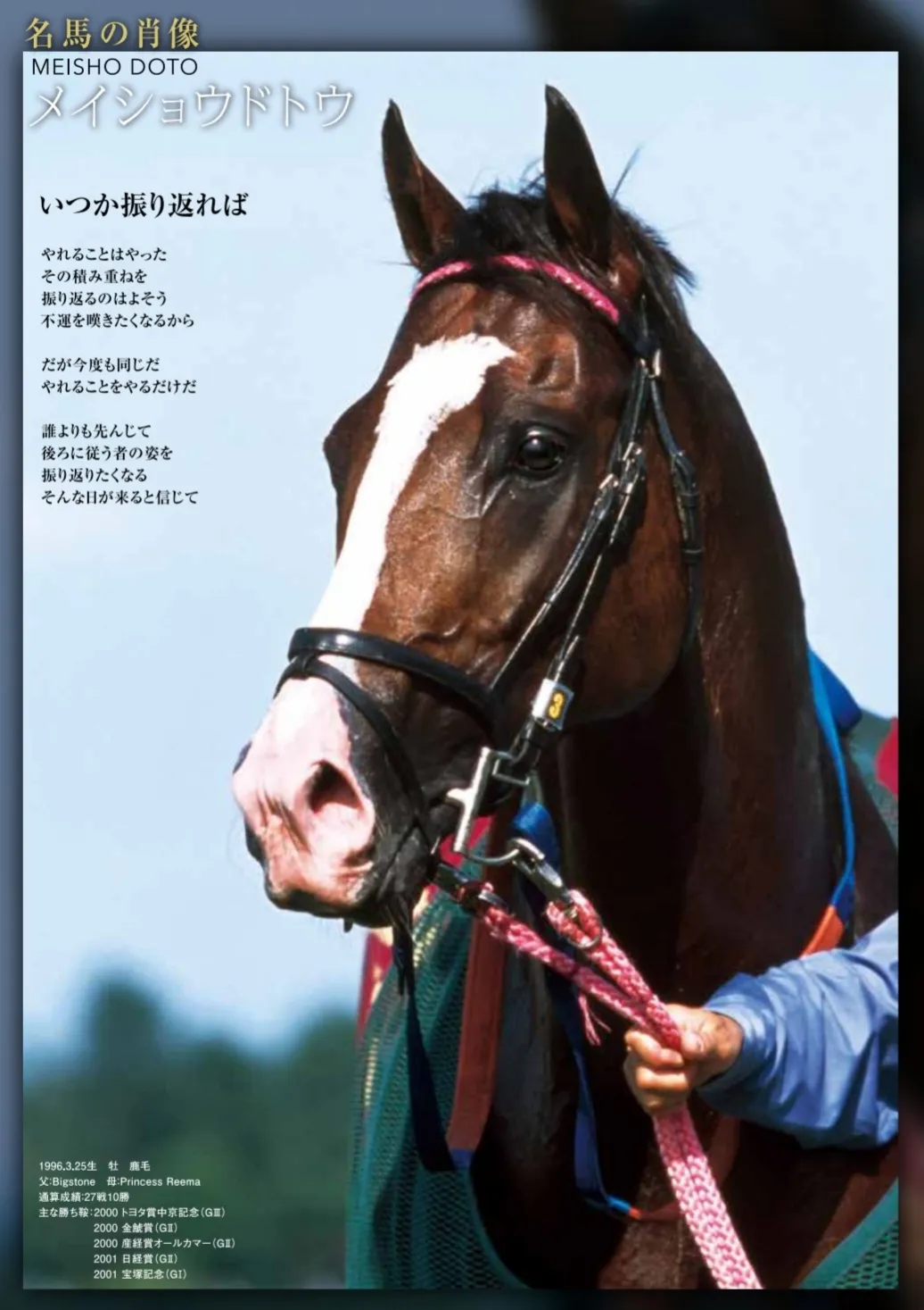 Couverture de magasin '2020 portrait of a horse'